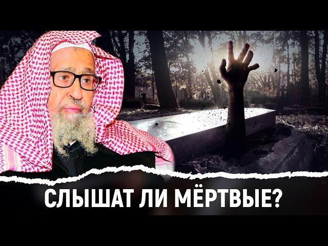 Слышат ли мёртвые? Шейх Фаузан