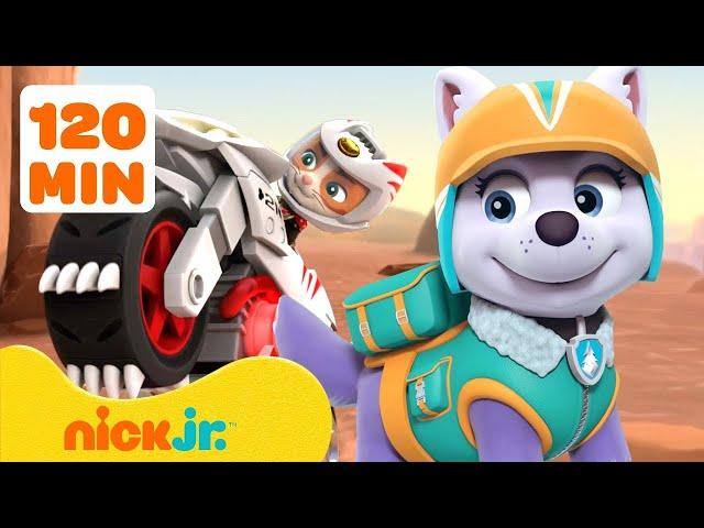 PAW Patrol: Überall außer Adventure Bay! mit Everest | 120 Minuten | Nick Jr. Deutschland