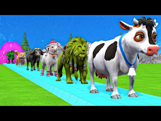 Paint & Animals Cow,Gorilla,Elephant,Lion,Tiger,Dinosaur, Fountain Crossing Transformation Cartoon