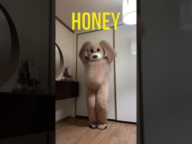 곰헝니
