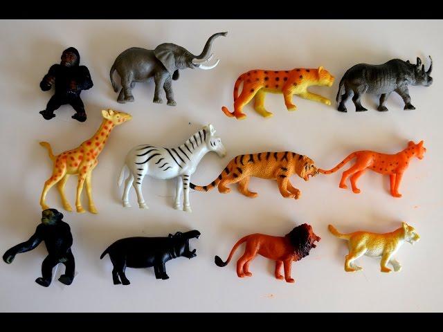 Lets Go to the ZOO-Kids Z Fun.lots of Animal toys,School Bus-Wild Life Learning Names n sounds