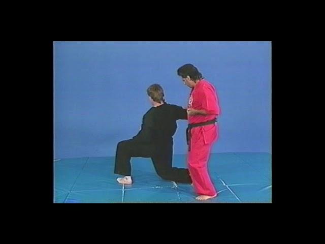 Tony Leo Martial Arts Master - Quick Highlights