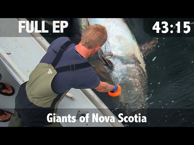 Ultimate Fishing with Matt Watson - Episode 1 - The Giants of Nova Scotia