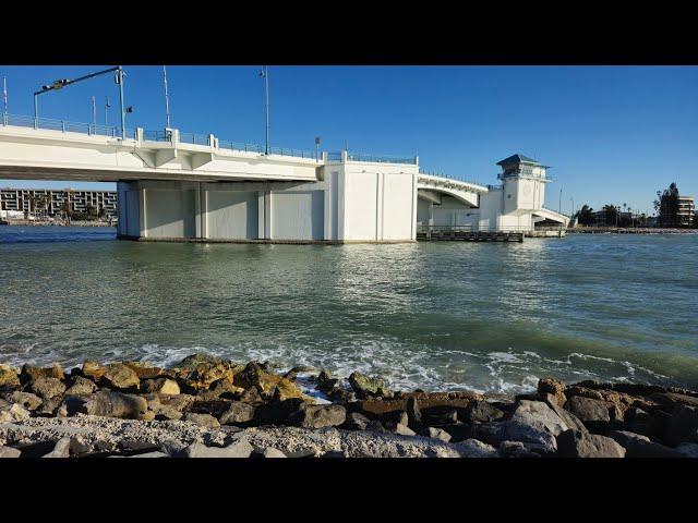 Live at Johns Pass, Madeira Bch