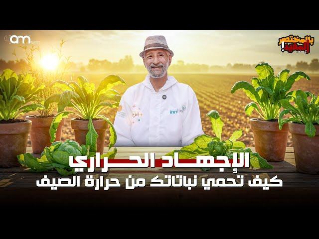 خطورة الإجهاد الحراري وارتفاع درجات الحرارة وآثرها على النبات وكيفية التغلب عليها وعلاج مشاكلها
