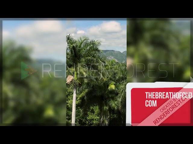 The Breath of Cuba clips