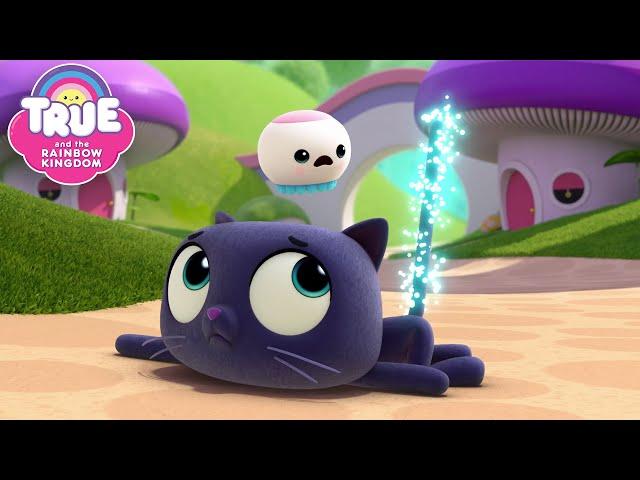 Wish Gone Wild & More FULL EPISODES  True and the Rainbow Kingdom 