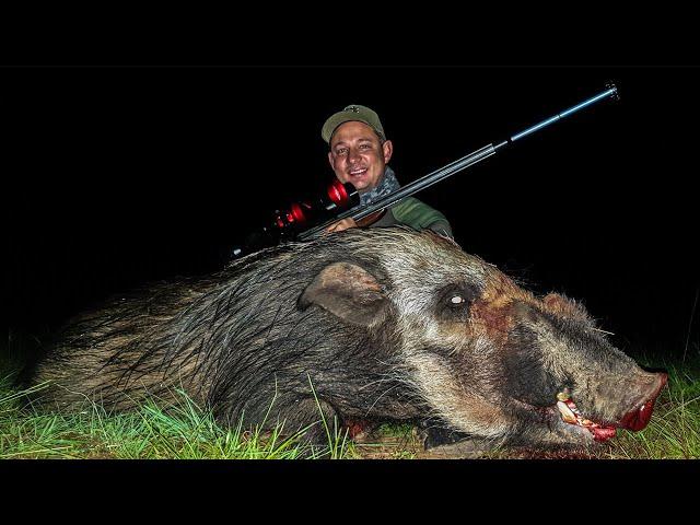 Hunting Large Bushpigs Night Hunt II Bushpig Braai - Trailer!!