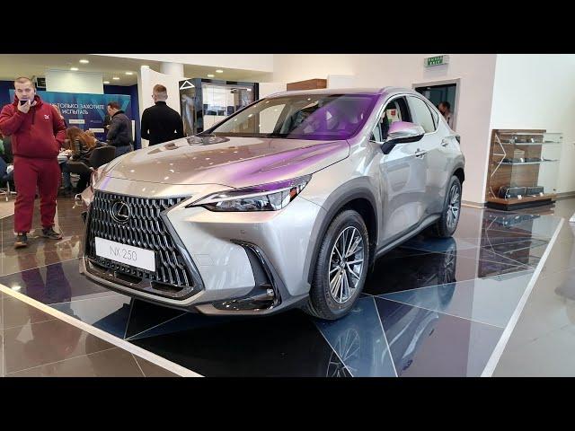 Новый Lexus NX 250. Первый НЕ ПРОДАЖНЫЙ Обзор! Отсутствует шумка, зато красивый!