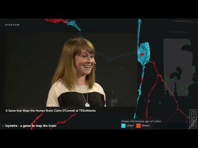 Eyewire.org - Introduction & TedTalks | Connectome(-ics)