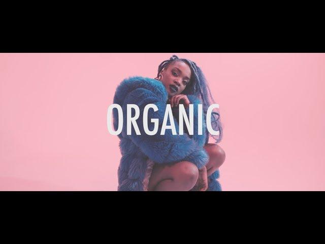 Sam Binga & Rider Shafique - Organic (Official Music Video)