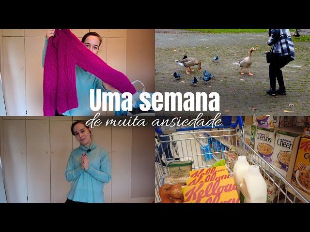 Estou muito nervosa!! Os patinhos adoraram  Compras supermercado| Peças lindas em 2a mão