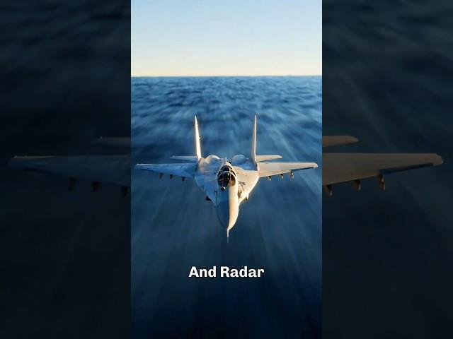 Why Stealth Jets Canopies Are Tinted 