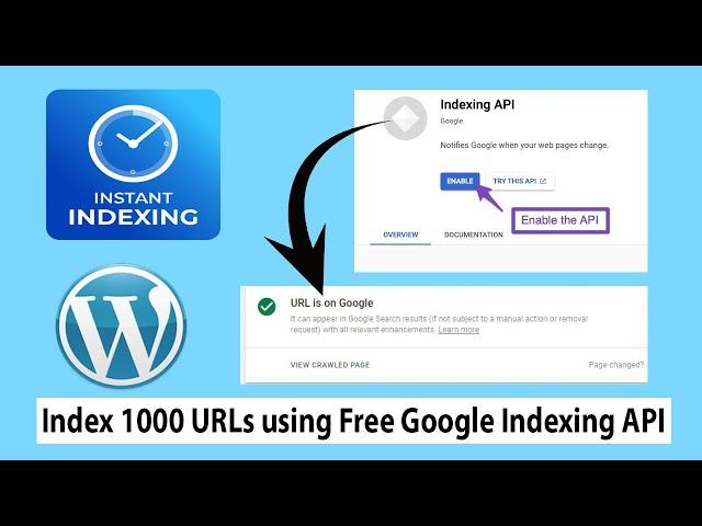 How to Set Up Google Instant Indexing API in Just 5 Minutes | Google Instant Indexing For WordPress