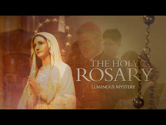 Holy Rosary with Bishop Brennan: Luminous Mysteries
