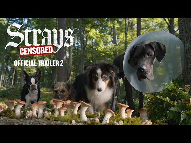 Strays | Official Trailer 2