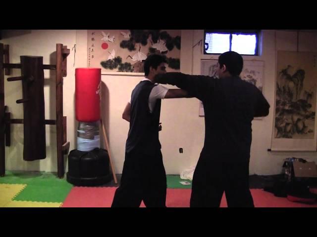 LI FAMILY STYLE  (LI GAR CHUAN) BASIC TIGER FORM WITH APPLICATION PRACTICE