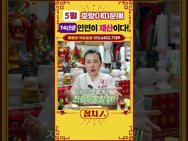 2025년 5월 범띠운세 대인관계를 넓혀야 할 타이밍! #74년생 #호랑이띠운세 #범띠