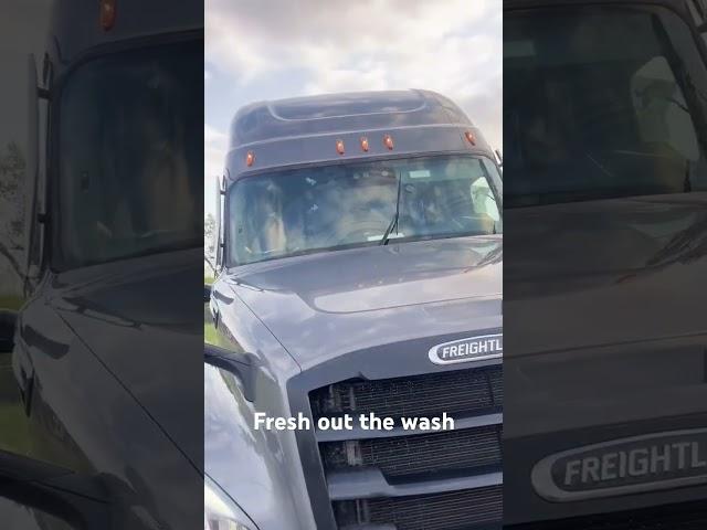 Fresh out the wash#truckersoftiktok #CDL #Trucking #truckerlife #Semitruck #freightliner #Truckwash