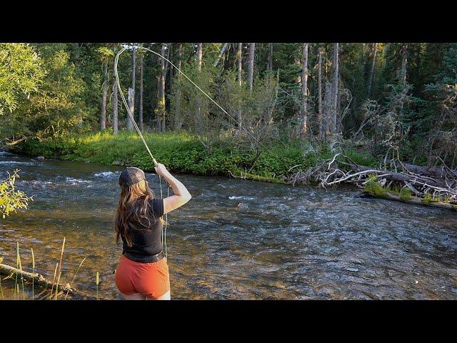 Thousands Drive Past This Stream, and It's Untouched | Trout Fishing Montana