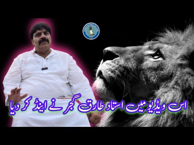 Garmi ki kabootar bazi ki Tips by Ustad Tariq Gujjar