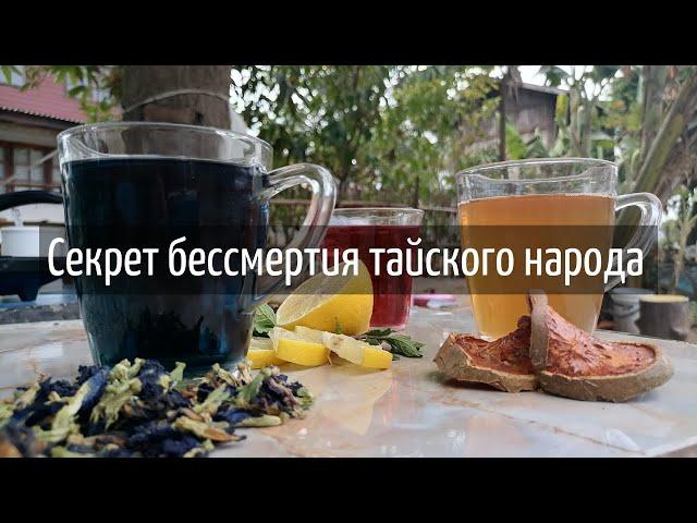 Самые полезные тайские чаи! Анчан, Матум, Каркаде и их польза. Как заваривать.