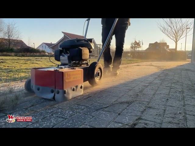 Easily remove  weeds and moss from paving stones and walkways