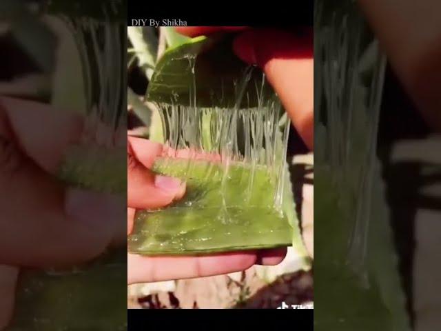 Aloe Vera Gel Face Pack | Summer Skincare | DIY By Shikha | #Shorts