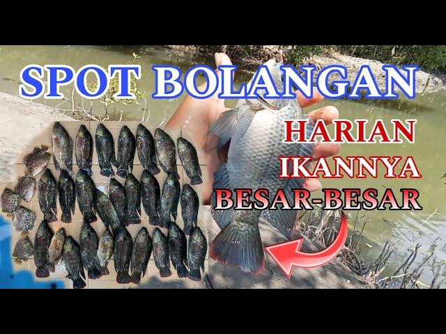 MANCING BAHAGIA..!! Mancing di Spot Anti Boncos Ikannya Babon-Babon [] Tiket Murah Meriah