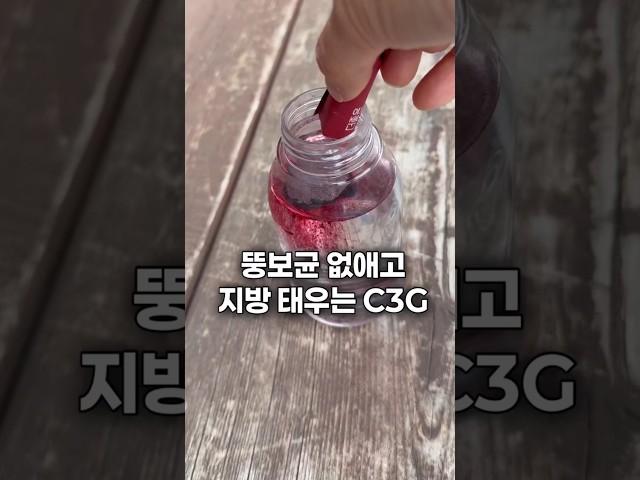 뚱보균 없애고 지방태우는 이거 드세요!