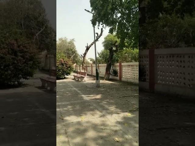 Phagwara Railway Station #shorts #phagwara #indianrailways #irctc #irctcshare subscribe this channel