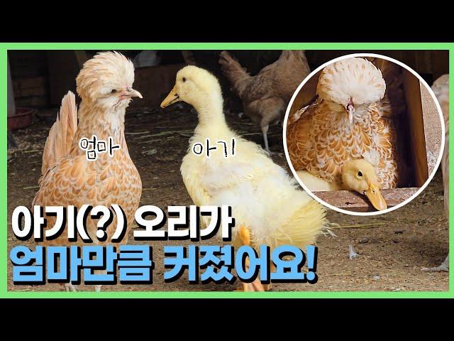 아직까지 아무도 눈치채지 못한 정체..