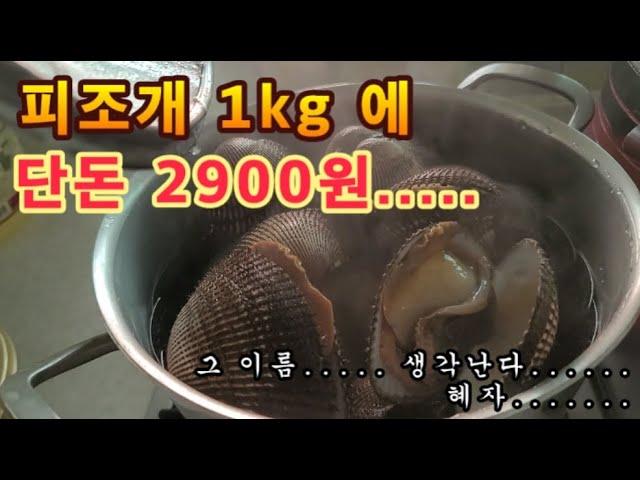 피조개 1kg 에 2900 원 실화?!?!...