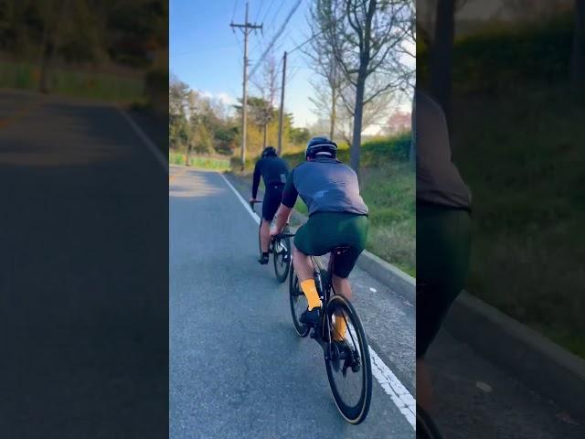 써벨로와 마돈, 그리고 회야댐 #부산자전거 #부산라이딩 #cycling