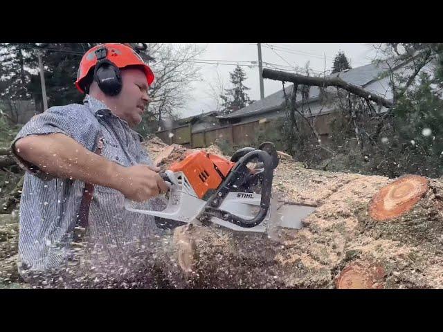 STIHL MS500i - World’s 1st Fuel Injected Chainsaw