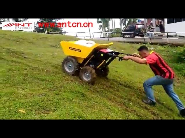 BY250 ANT mini dumper BY250