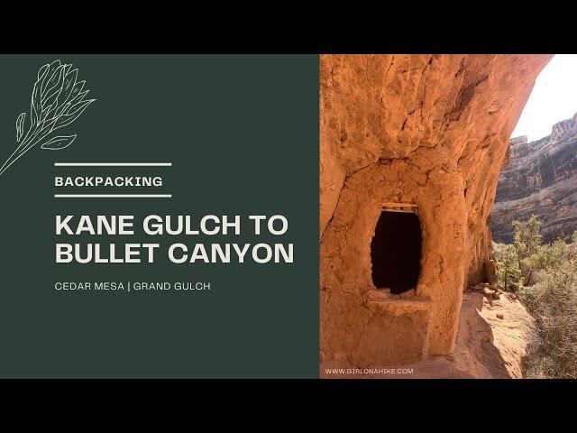 Backpacking Kane Gulch to Bullet Canyon, Cedar Mesa