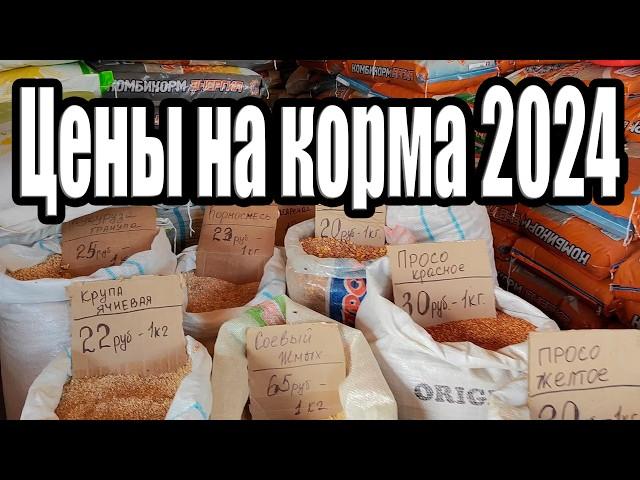 Цены на корма 2024