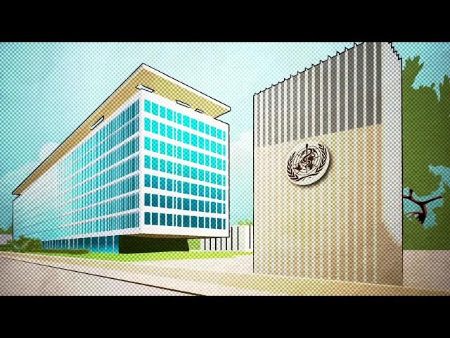 The World Health Organization. How does it work? | AFP