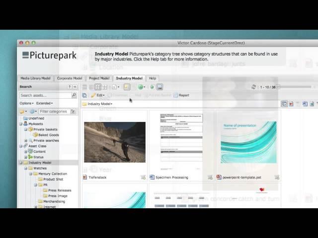 Picturepark DAM Demo Overview (Digital Asset Management)