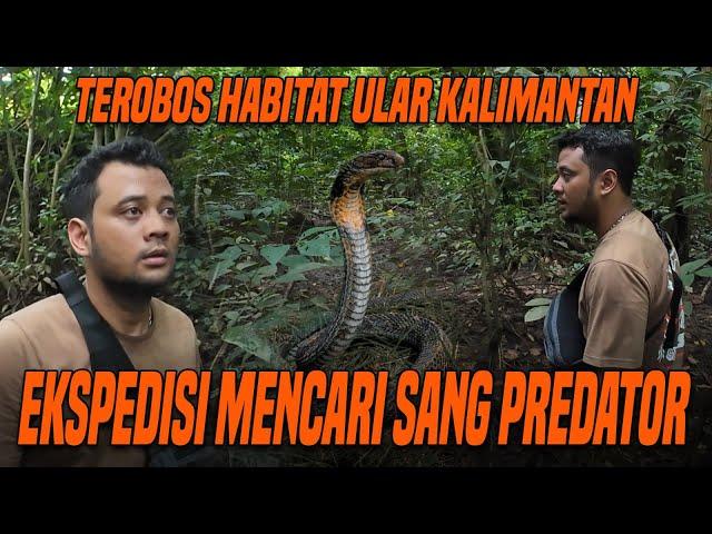 EKSPEDISI NEKAT !! PANJI TEROBOS HABITAT ULAR DI HUTAN KALIMANTAN