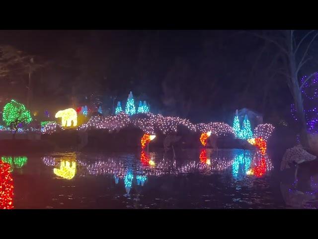 Vandusen Garden Festival of Lights 2024