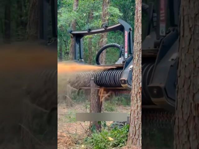 How To Remove Tree Stump  By MAX Gyan