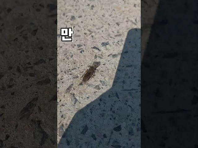 이것 좀 봐 쉰기하지? #청년농부진이