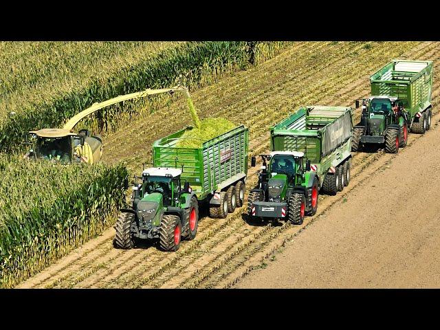 Mais 2024 | Krone BiG X 1180 | Fendt 1050 | 2x Fendt 728 with Krone | Busche Estorf