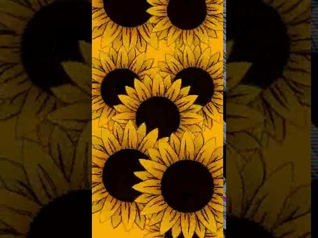 SummerSunflowers Animated