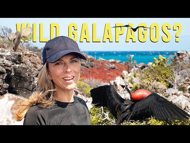 LEAVING Our SAILING CATAMARAN in Search of RAW WILDERNESS in the GALAPAGOS | Harbors Unknown Ep. 82