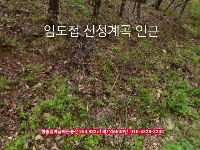 청송임야급매 254,832㎡ 매1억6000만​신성계곡인근 인근 경상북도 청송군 안덕면 신성리 부동산급매물구합니다