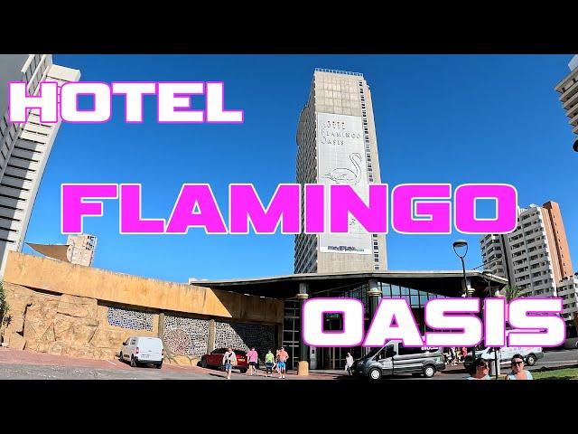 Hotel Flamingo Oasis | Benidorm | Tour #explorewithtim #explore #tim