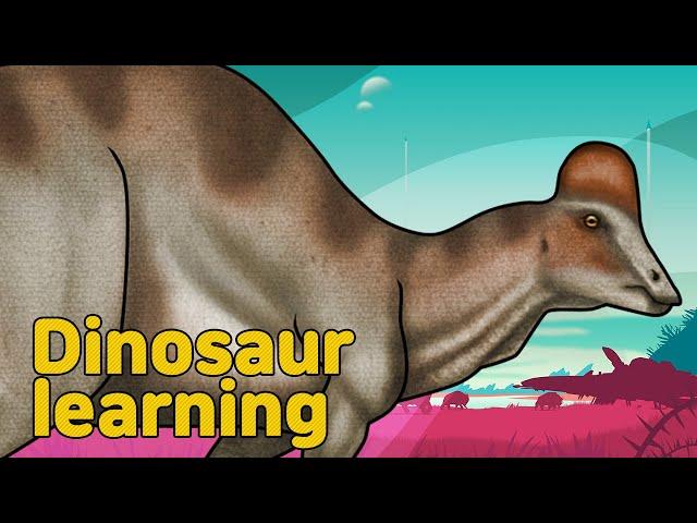 Dinosaur Hypacrosaurus Collection | herbivorous dinosaur Hypacrosaurus | 공룡 히파크로사우루스